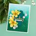 Spellbinders Four Petal Floral 3D Embossing Folder - Clear | Shop Now - Buy Online on GoSupps.com