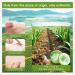Fuveuua Organic Pure Aloe Vera Gel - Soothing Cooling Gel for Sunburn Relief & sun burnt after-sun gel for skin Face hair | pure 99% Plant-Derived | 7.05oz Gentle for All Skin Types - Buy Online on GoSupps.com
