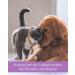 Lega Phyton 50 - Liver Support Tablets for Dogs & Cats | Silymarin Supplement | 24 Tablets - International Shipping Available - Buy Online on GoSupps.com