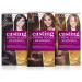 L'Oreal Casting Cream Gloss Hair Color 210 - Bluish Black | Long-lasting Shine - Buy Online on GoSupps.com