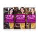 LOreal Paris Casting Creme Gloss 634 Casta o Miel - Medium Brown Hair Color | Buy Online Internationally - Buy Online on GoSupps.com