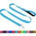 Taglory dog leash medium -sized large dogs light |Reflecting double -sided |Padded handle |Support 10 to 75 kg |1.2m x 2.5cm |Himmel blue 1.2 m x 2.5 cm (1 -pack) sky blue