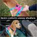 PHOEPET No Pull Dog Harness | Reflective Adjustable Vest for Small Medium Large Dogs | Pink Base & Green Straps | Size M - Buy Online on GoSupps.com