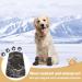 Verdpe Dog Shoes - 4 Pack Anti-Slip Paw Protection Socks for Outdoor Use Adjustable Straps Size L - Buy Online on GoSupps.com