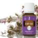 Buy Young Living Clary Sage Essential Oil 15 ml | Promote Healthy Skin & Hair | Relaxation & Calming Aroma | Relief for Minor Irritations | Women's Aromatherapy - Buy Online on GoSupps.com