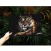 Animal Scratch Art Rainbow Painting Paper Engraving Set - DIY Creative Foil Scratch Art Toy for Kids & Adults - Tiger Design - 16'' x 11.2 - Buy Online on GoSupps.com