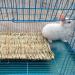 PINVNBY Natural Straw Grass Mat for Rabbit Bunny Cage - 6 Pcs - Buy Online on GoSupps.com