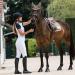 HORZE Horse Bridle Clermont Anatomical for Warmblood & Thoroughbred - Dark Brown C (C) - Premium Quality eCommerce Shipping Worldwide - Buy Online on GoSupps.com