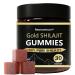 Neonomicon Primal Compound Shilajit Gummies for Men Pure Himalayan Shilajit 85+ Trace Minerals & Fulvic Acid No Added Sugar Non-GMO Energy Boost & Immune Support 30 Gummies