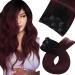 Clip in Human Hair Extensions Real Hair Balayage Clip in Extensions Ombre Black to Wine Red Double Weft Hair Extensions Clip in 22 Inch 7Pcs 120g #1B/99J 55 cm #1B/99J