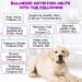 Dogs Vitamins and Supplements with Glucosamine & Cranberry 15 in 1 Multivitamins Supports Dogs Hip and Joint Immune Health Skin Coat Heart Health for Small Medium and Large Dogs - Buy Online on GoSupps.com