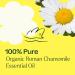 Plant Therapy Organic Roman Chamomile Essential Oil 2.5 mL (1/12 oz) 100% Pure Undiluted USDA Certified Organic Natural Aromatherapy for Relaxation and Stress Relief - Buy Online on GoSupps.com