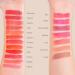 Biotek Lip Pigment Kit for Permanent Makeup - Made in Italy | 5 PC Lip Kit | International Shipping - Buy Online on GoSupps.com