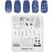 KADS Nail Art Stamping Plates Set Image Template Stencils Meteor Pattern with Stamping Plates Holder Case Organizer (SK004) - Buy Online on GoSupps.com