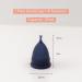 Soft Menstrual Cups for Tilted Cervix - Buy One Give One - Includes Ebook, Cleaning Wipes, Lube & Storage Bag - Small & Large Sizes - Tampon & Pad Alternative - Buy Online on GoSupps.com