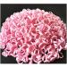 Lizusidtsy Glue Rings Lash Ring for Glue Lash Glue Ring Holder Blooming Eyelash Glue Holder 400Piece - Buy Online on GoSupps.com