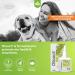 ICF Otoact Cat and Dog Ear Cleaner 100ml - Stop Wax Build Up, Odour & Scratching - Buy Online on GoSupps.com