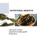 AMZGROCERY Kombu Dried Seaweed Kelp Knots 50g - Premium Quality Seaweed for Cooking - Buy Online on GoSupps.com