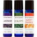 SpaRoom 100% Pure Essential Oil Sensory Packs - Lively Cobalt Blue Bottle 3 Count | International Shipping - Buy Online on GoSupps.com