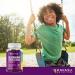 Elderberry Gummies for Kids with Zinc & Vitamin C | Immune Defense Support | Vegan Gummies 60 Count - Buy Online on GoSupps.com