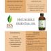 SVA ORGANICS Pine Needle Essential Oil 4 OZ - 100% Pure Therapeutic Grade for Skin & Hair Care - Buy Online on GoSupps.com