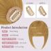 RUWISS Clip in Fringe 100% Human Hair Bangs | Ash-blonde Fringe Extensions for Women | Daily Wear Hairpieces - Buy Online on GoSupps.com