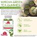Matcha Green Tea Extract Gummy Vitamins with EGCG - Energy & Metabolism Boost, Weight Loss & Fat Burner - Vegan, Gluten-Free, Non-GMO, Kosher, Halal - 60 ct - Buy Online on GoSupps.com