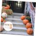 Ciieeo 22pcs Artificial Autumn White Pumpkin Decor Pumpkin Props Mini Artificial Pumpkins Faux Vegetables Fake Pumpkin Model Home D cor Supplies Household Foam - Buy Online on GoSupps.com