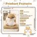 MUZIRI KINOKOO Cute Hamster Plush Blanket & Pillow Combo - Light Coffee | Soft Blanket for TV, Sofa, Office, Travel - Stuffed Toy Blanket for Nap Time - Buy Online on GoSupps.com
