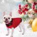 Cit toile Warm Dog Sweater - Turtleneck Knitting for Autumn/Winter | Stylish Puppy Clothing with Linen Holes | XL Red Coat for Small & Medium Pets - Buy Online on GoSupps.com