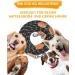 Buy Petcooz 3m Dog Leash - Durable Nylon Reflective Strong Tow Line for Medium & Large Dogs - Training Lines with Double Linen & 2 Carabiners - Buy Online on GoSupps.com