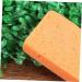 Beavorty 4pi ces Pierre Pour P dicure Exfoliante Outil De Polissage Pour liminer Les Peaux Mortes Lot De Pierres Ponces 1 unit (Lot de 1) Comme Montr  - Buy Online on GoSupps.com