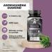 Extrait d'Ashwagandha 568 mg par comprim 100 comprim s v g taliens 400 portions par emballage l'extrait de Withania somnifera contient 7% de withanolide par Apollo's Hegemony - Buy Online on GoSupps.com