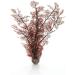 Buy Medium-Sized Dark Red biOrb Horn Corals | Aquarium Decoration Set M - Ship Worldwide - Buy Online on GoSupps.com