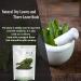 Tulsi Leaves 100g | Queen of Herbs | Dried Tulsi Leaves and Tulsi Buds - Buy Online on GoSupps.com