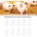 Portable Nose Spray Head 10Pcs Nose Spray Head Vaccine Durable Lightweight Veterinary Nasal Spray Head for Piglets Full Spraying - Buy Online on GoSupps.com