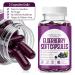 DoseOfQuiet Elderberry Capsules - Gut Support Complex Organic Black Elderberry Soft Capsules with Vitamin C and Zinc Promote Gut Health & Boost Energy (1) - Buy Online on GoSupps.com