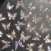 6 Sheets 3D Butterflies Nail Art Stickers - Self-Adhesive Aurora Shell Decals for Women | DIY Nail Decoration - Buy Online on GoSupps.com