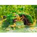 Forest Aquatics Moss Covered Log Shrimp Cave - Buy Online on GoSupps.com