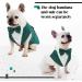 Dark Green Dog Wedding Suit Set - Stylish Smoking Shirt & Necker for Parties Birthdays & Halloween - Buy Online on GoSupps.com