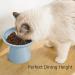 CEEFU Extra Wide Elevated Cat Bowls - Ceramic Cat Food Bowl 6.2" Raised Cat Food Bowls Elevated Shallow Cat Food Dish Whisker Fatigue Lead & Cadmium Free 5" Good Height for Cat Feeding Blue Baby Blue - Buy Online on GoSupps.com