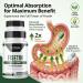 Probase Nutrition Fisetin Senolytic Supplement 100mg High Potency 60-Day Supply for Cellular Health - Buy Online on GoSupps.com