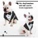 Dog Smoking Suit - Striped Gentleman Costume for Weddings | Formal Pet Clothing for Puppies - Buy Online on GoSupps.com