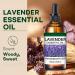 Lavender Essential Oils Natural Lavender Oil with Dropper for Diffuser Hair Care Face Skin Care Aromatherapy Scalp and Body Massage Soap and Candle Making Long Lasting Scents Easy Use 3.53oz - Buy Online on GoSupps.com