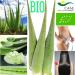 Buy 3 Fresh Bio Aloe Vera Leaves 80cm | 800g | EU Certified XXL Barbadensis Miller for Skin Hair Nail Body Care | Anti-Aging | Ships Worldwide - Buy Online on GoSupps.com