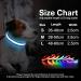 Luminous USB-C LED Dog Collar | Waterproof Light-Up Collar for Small & Medium Dogs | 7 Color Flashing Adjustable Size (28-40cm) - Buy Online on GoSupps.com
