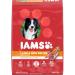 IAMS Proactive Health Dog Food Dry | Minichunks Adult Lamb & Rice 6.5kg + Mature (7+) Original 6.8kg 6.8 kg (Pack of 1) Dog Food + Dog Food 6.8kg - Buy Online on GoSupps.com