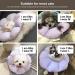 HiDREAM Cat Cone Collar | Cute & Waterproof Elizabethan E-Collar for Cats | Anti-Bite & Lick Wound Healing Collar | Safety Cat Recovery Collar | Medium - Purple - Buy Online on GoSupps.com