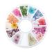 12 Kinds Nail Dried Flower Set Colorful Fashion Nail Decorations for Manicure Shop