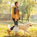 500ml Dog Drinking Bottle - Foldable Water Bottle for Pets | Portable Water Bowl on the Go - Buy Online on GoSupps.com